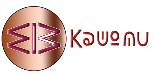 Logo Image
